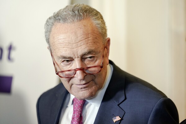Schumer and other Senate Democrats call for a federal probe of